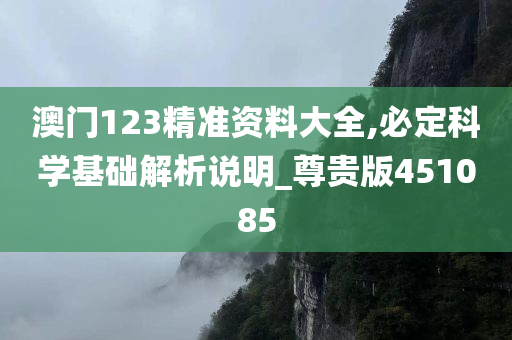 澳门123精准资料大全,必定科学基础解析说明_尊贵版451085