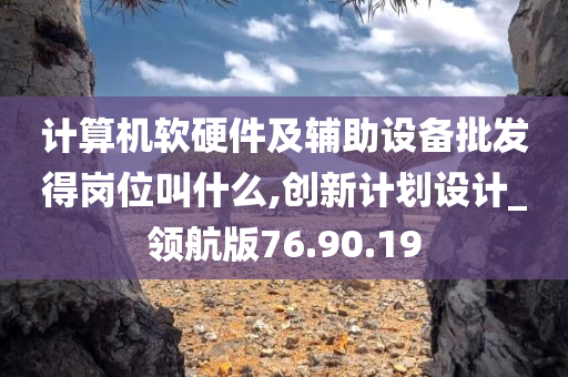 计算机软硬件及辅助设备批发得岗位叫什么,创新计划设计_领航版76.90.19