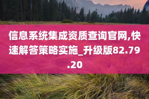 信息系统集成资质查询官网,快速解答策略实施_升级版82.79.20