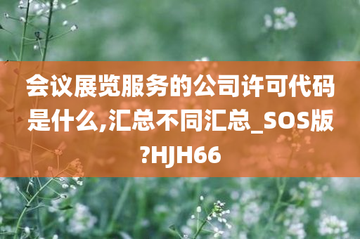 会议展览服务的公司许可代码是什么,汇总不同汇总_SOS版?HJH66