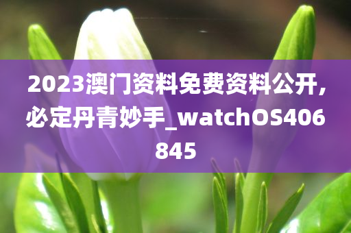 2023澳门资料免费资料公开,必定丹青妙手_watchOS406845