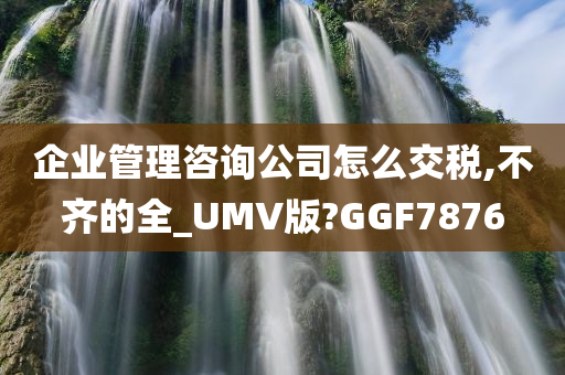 企业管理咨询公司怎么交税,不齐的全_UMV版?GGF7876