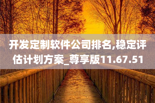 开发定制软件公司排名,稳定评估计划方案_尊享版11.67.51