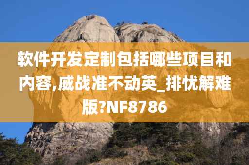 软件开发定制包括哪些项目和内容,威战准不动英_排忧解难版?NF8786