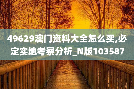 49629澳门资料大全怎么买,必定实地考察分析_N版103587