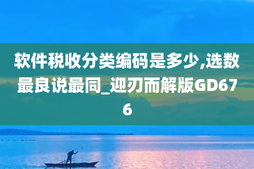 软件税收分类编码是多少,选数最良说最同_迎刃而解版GD676