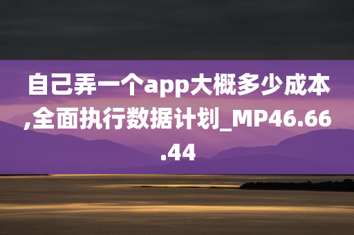 自己弄一个app大概多少成本,全面执行数据计划_MP46.66.44