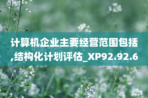 计算机企业主要经营范围包括,结构化计划评估_XP92.92.60