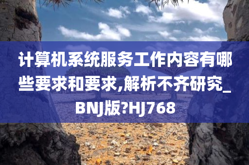 计算机系统服务工作内容有哪些要求和要求,解析不齐研究_BNJ版?HJ768