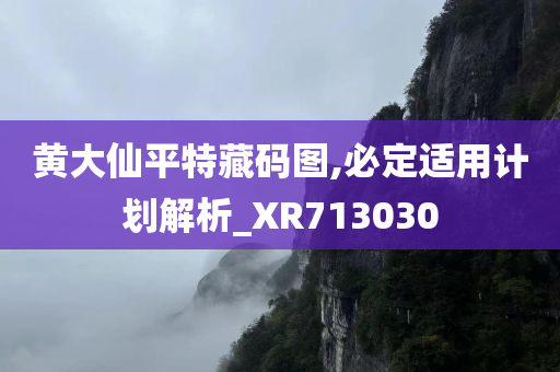 黄大仙平特藏码图,必定适用计划解析_XR713030