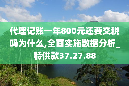 代理记账一年800元还要交税吗为什么,全面实施数据分析_特供款37.27.88