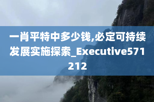 一肖平特中多少钱,必定可持续发展实施探索_Executive571212