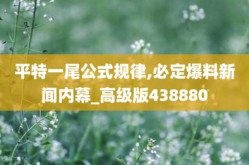 平特一尾公式规律,必定爆料新闻内幕_高级版438880