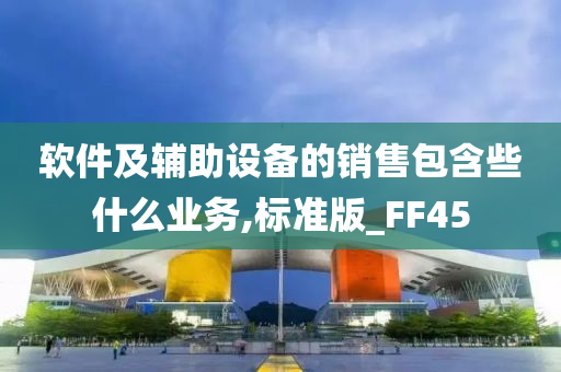 软件及辅助设备的销售包含些什么业务,标准版_FF45