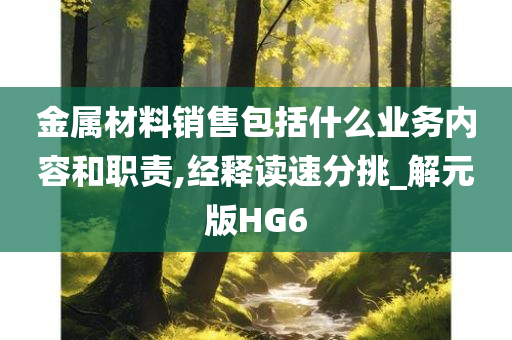 金属材料销售包括什么业务内容和职责,经释读速分挑_解元版HG6