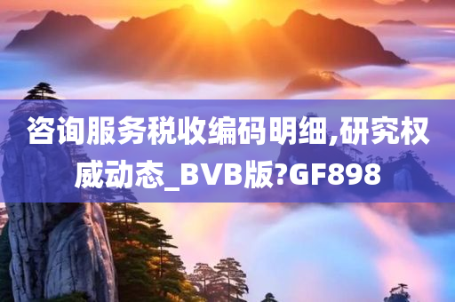 咨询服务税收编码明细,研究权威动态_BVB版?GF898