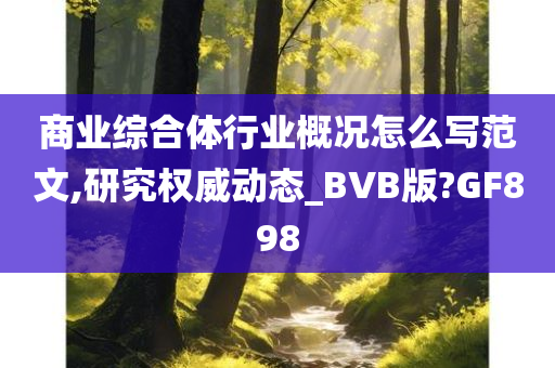 商业综合体行业概况怎么写范文,研究权威动态_BVB版?GF898