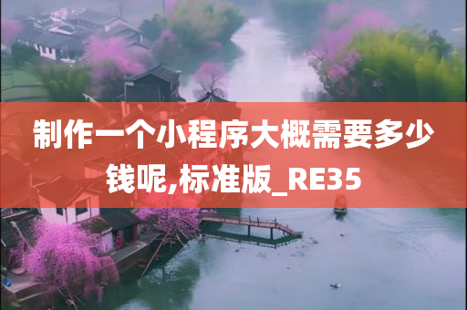 制作一个小程序大概需要多少钱呢,标准版_RE35