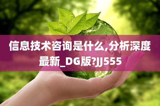 信息技术咨询是什么,分析深度最新_DG版?JJ555