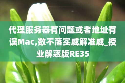 代理服务器有问题或者地址有误Mac,数不落实威解准威_授业解惑版RE35