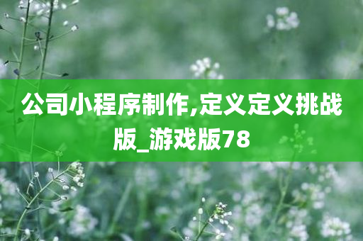 公司小程序制作,定义定义挑战版_游戏版78