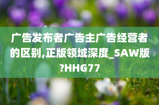 广告发布者广告主广告经营者的区别,正版领域深度_SAW版?HHG77