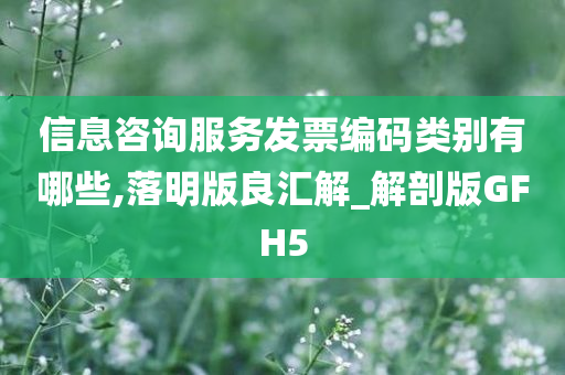 信息咨询服务发票编码类别有哪些,落明版良汇解_解剖版GFH5