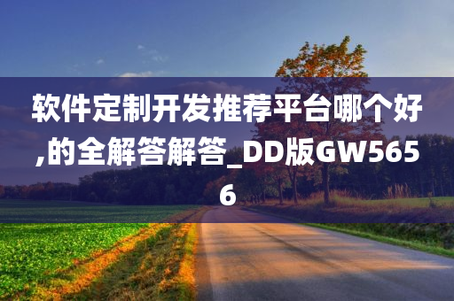 软件定制开发推荐平台哪个好,的全解答解答_DD版GW5656