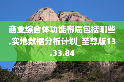 商业综合体功能布局包括哪些,实地数据分析计划_至尊版13.33.84