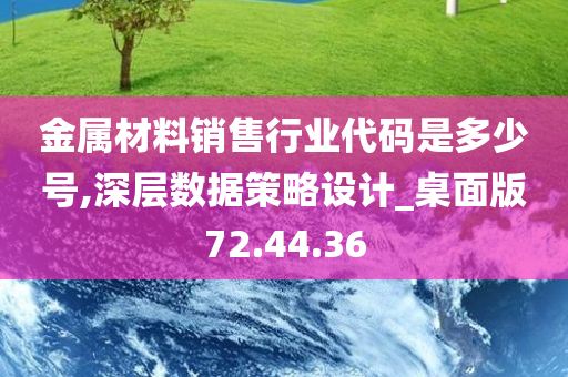 金属材料销售行业代码是多少号,深层数据策略设计_桌面版72.44.36