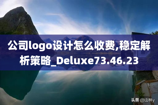 公司logo设计怎么收费,稳定解析策略_Deluxe73.46.23