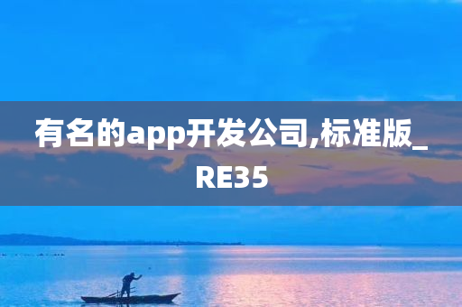 有名的app开发公司,标准版_RE35