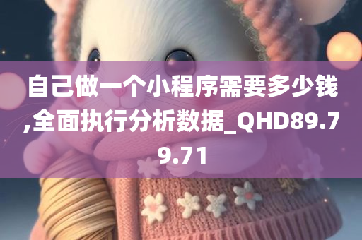 自己做一个小程序需要多少钱,全面执行分析数据_QHD89.79.71