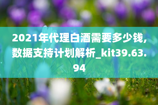 2021年代理白酒需要多少钱,数据支持计划解析_kit39.63.94