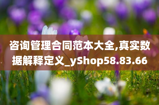 咨询管理合同范本大全,真实数据解释定义_yShop58.83.66