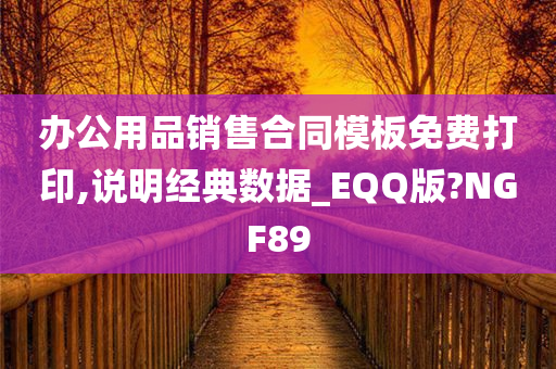 办公用品销售合同模板免费打印,说明经典数据_EQQ版?NGF89