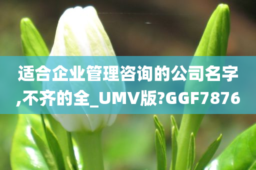 适合企业管理咨询的公司名字,不齐的全_UMV版?GGF7876