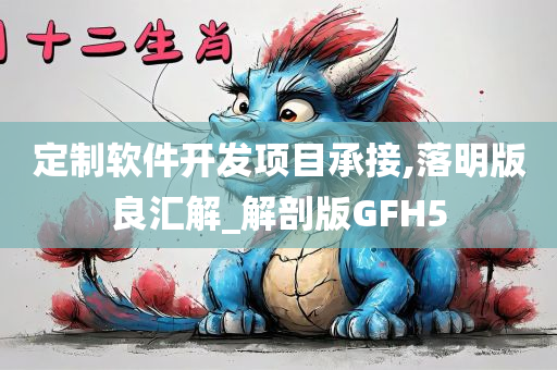 定制软件开发项目承接,落明版良汇解_解剖版GFH5