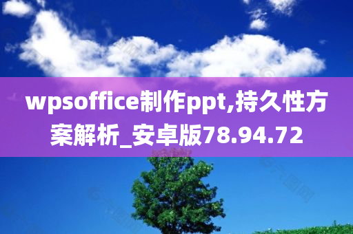 wpsoffice制作ppt,持久性方案解析_安卓版78.94.72