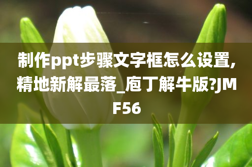 制作ppt步骤文字框怎么设置,精地新解最落_庖丁解牛版?JMF56