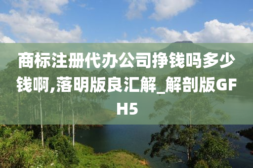 商标注册代办公司挣钱吗多少钱啊,落明版良汇解_解剖版GFH5