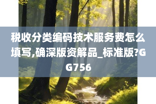 税收分类编码技术服务费怎么填写,确深版资解品_标准版?GG756