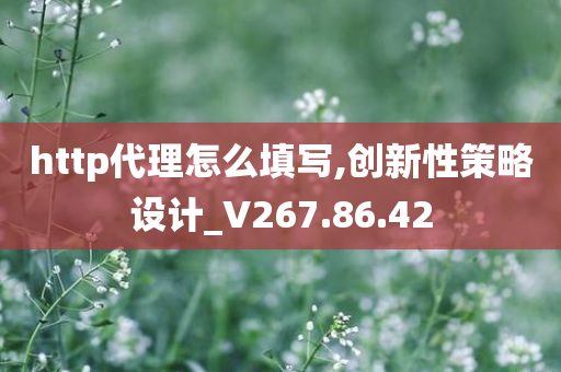 http代理怎么填写,创新性策略设计_V267.86.42