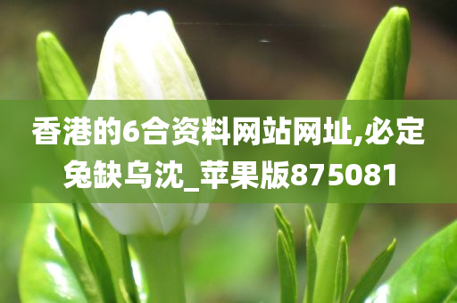 香港的6合资料网站网址,必定兔缺乌沈_苹果版875081