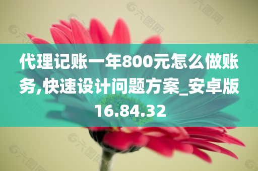 代理记账一年800元怎么做账务,快速设计问题方案_安卓版16.84.32