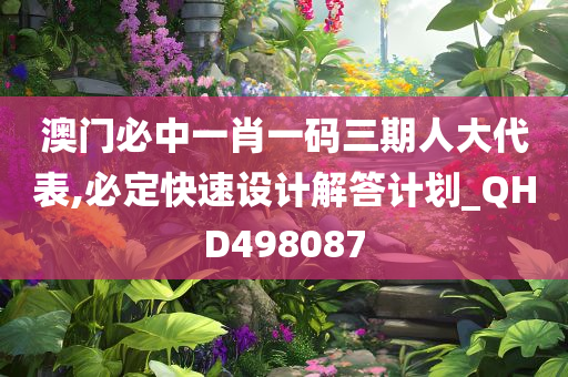 澳门必中一肖一码三期人大代表,必定快速设计解答计划_QHD498087