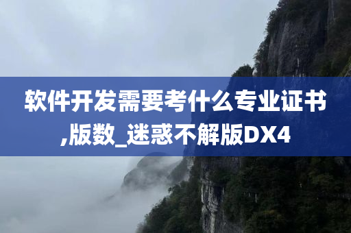 软件开发需要考什么专业证书,版数_迷惑不解版DX4