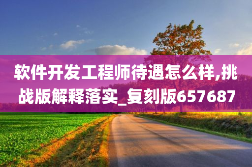 软件开发工程师待遇怎么样,挑战版解释落实_复刻版657687