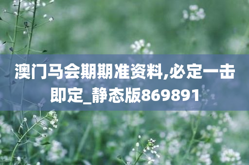 澳门马会期期准资料,必定一击即定_静态版869891