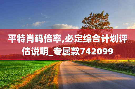 平特肖码倍率,必定综合计划评估说明_专属款742099